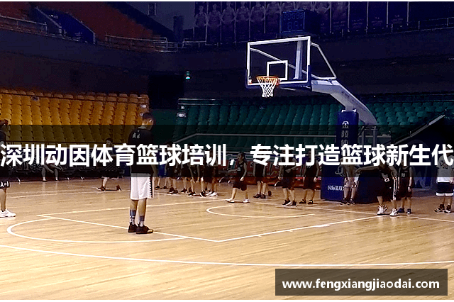 深圳动因体育篮球培训，专注打造篮球新生代